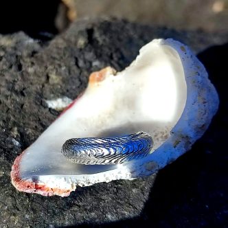 Anillo pequeño